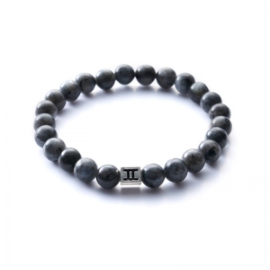 C31 Grey Wolf