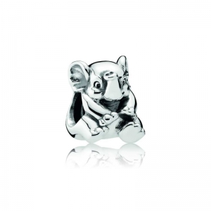  Zilver