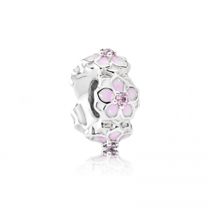  Zilver