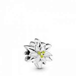  Zilver