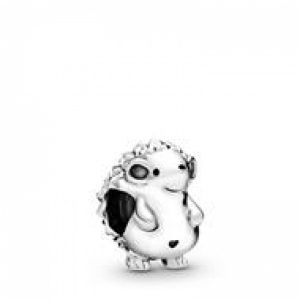  Zilver