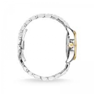  Goud/Zilver