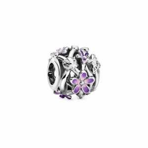  Zilver