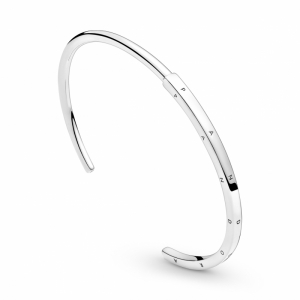 Zilver