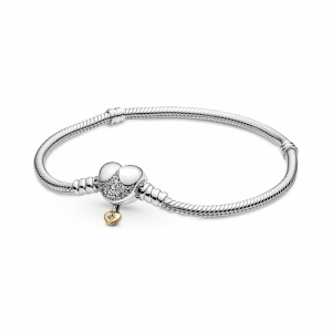  Zilver/Goud