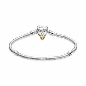 Zilver/Goud