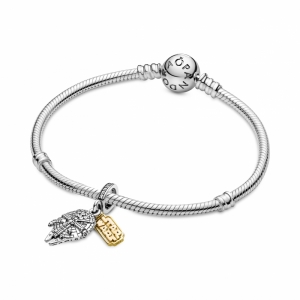  Zilver/Goud