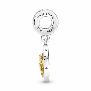  Zilver/Goud