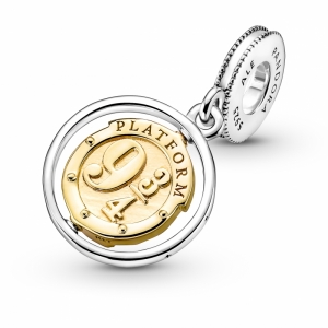  Zilver/Goud