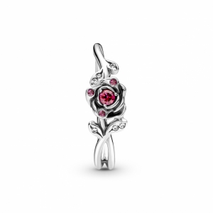  Zilver