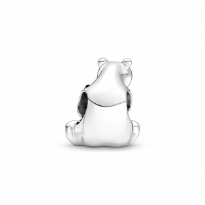  Zilver
