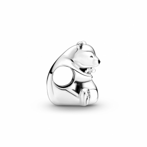 Zilver
