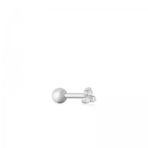 Zilver