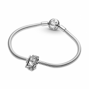  Zilver