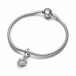  Zilver