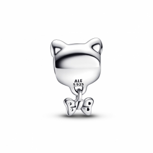  Zilver