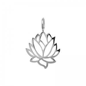  Zilver