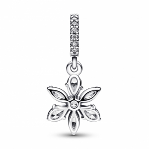  Zilver