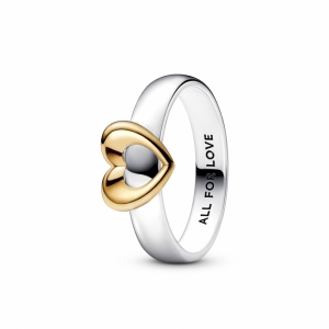 Zilver/Goud