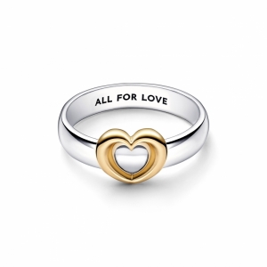 Zilver/Goud