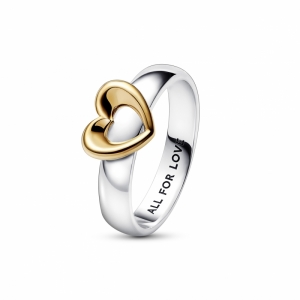 Zilver/Goud