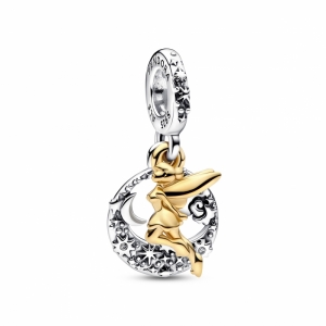 Zilver/Goud