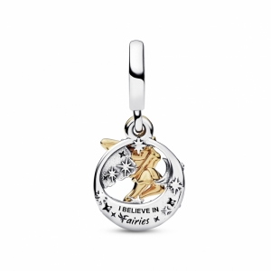  Zilver/Goud