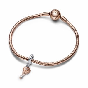  Zilver/Rosé