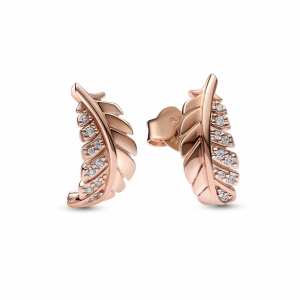  Rosé