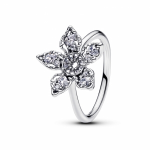 zilver