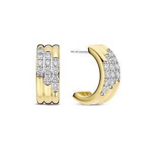  bicolor